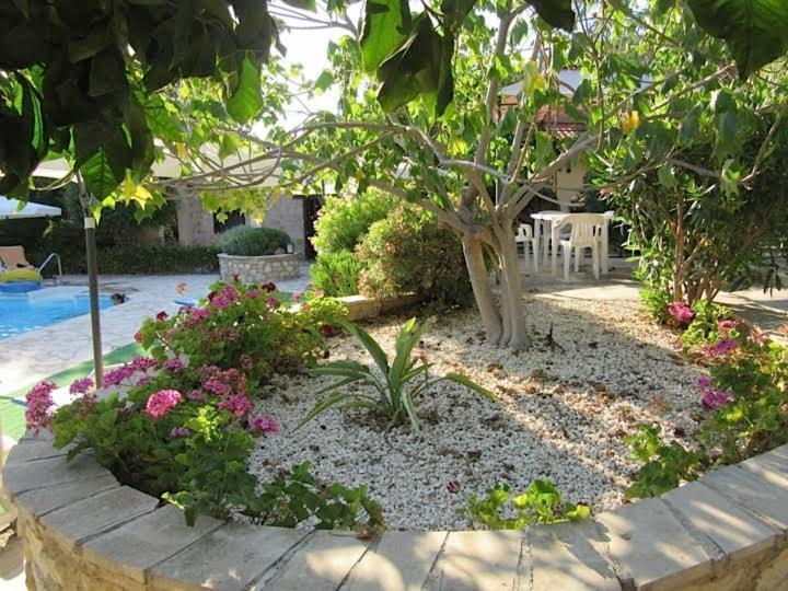 Anna Maria Villa Peyia Exterior foto
